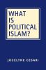 What_is_political_Islam_