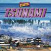 It_s_a_disaster___Tsunami