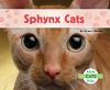 Sphynx_cats