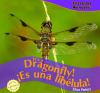 It_s_a_dragonfly___