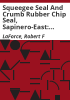 Squeegee_seal_and_crumb_rubber_chip_seal__Sapinero-East