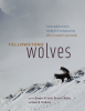 Yellowstone_Wolves