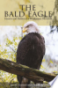 The_bald_eagle_nest_at_Barr_Lake