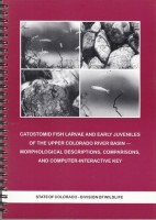 Catostomid_fish_larvae_and_early_juveniles_of_the_Upper_Colorado_River_Basin