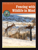 Fencing_with_wildlife_in_mind