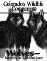 Wolves__knocking_at_Colorado_s_door