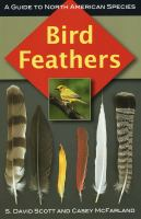 Bird_feathers