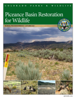 Piceance_Basin_restoration_for_wildlife
