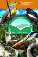 Colorado_birding_trail