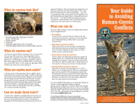 Your_guide_to_avoiding_human-coyote_conflicts