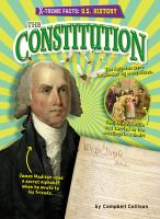 The_constitution