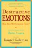 Destructive_emotions